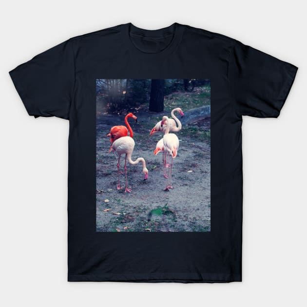 Pink and red flamingos T-Shirt by lena-maximova